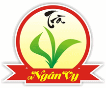 Instalaciones de té Ngan Vy Bac Thai Nguyen