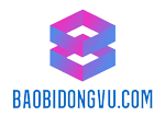 Dong Vu Group S.L.