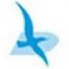 Daiya Artes Técnicas Viet Nam