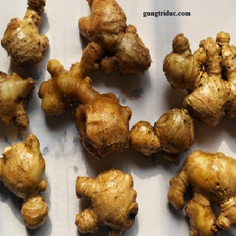 Aceite esencial de jengibre
