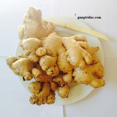 Aceite esencial de jengibre