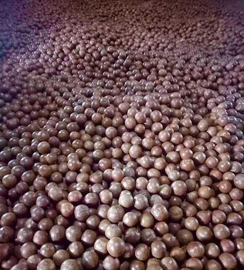 Nuez de Macadamia