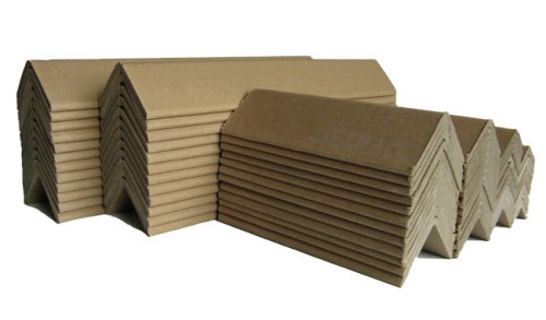 Férula de papel