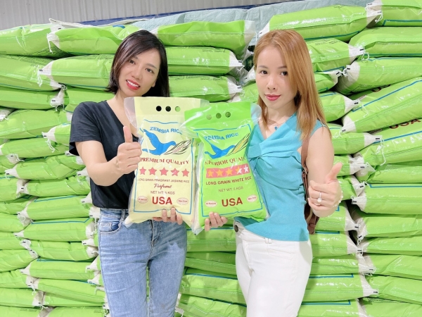 Arroz IR504