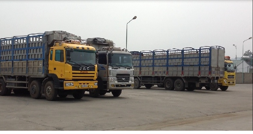 Transporte de carga