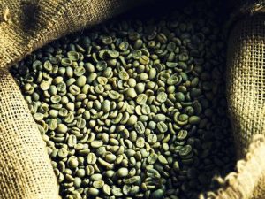 Arabica S16