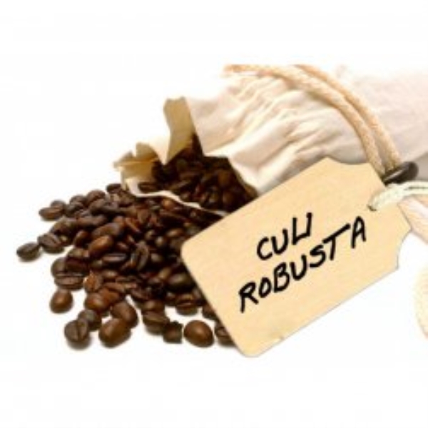 Café Hot Kuli - Café Robusta Premium